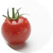 ブチトマトの画像