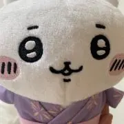 ゆきんこの画像