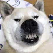 の工房