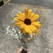 みい