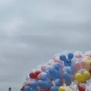chiiiの画像