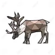 deer *プロフィールご一読下さい*の画像