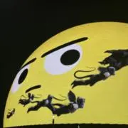 こまさんの画像