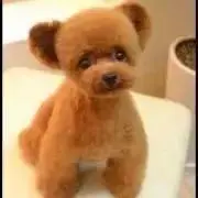 もころちゃん( ˙³˙)の画像