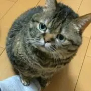 るるの画像