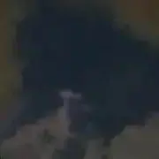 なかむらの画像