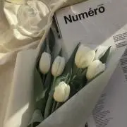 Reiの画像