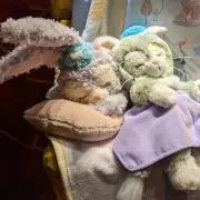 ゆ*の画像