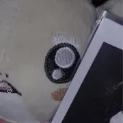 どーるの画像