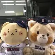 お値下げ交渉〇の画像