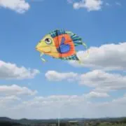 ✨即購入OKの画像