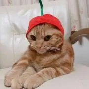 ヒロ♡