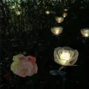 にぬの画像