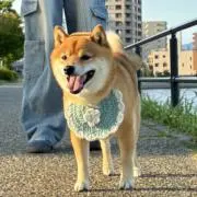 Yuseiの画像
