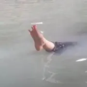 べきの画像