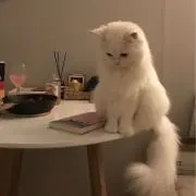 mの画像