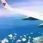 プロフィール確認必須⭐︎ぴぴまる