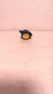 ねこの画像