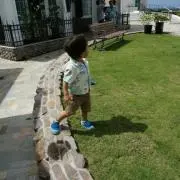 HARIEの画像