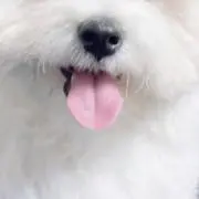ららの画像