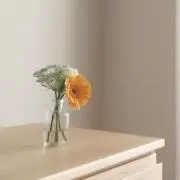 s.の画像
