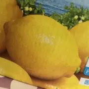 檸檬⭐️の画像