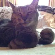 みっく（自己紹介をお読みください）の画像