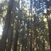 海の画像