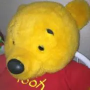 ぷーの画像