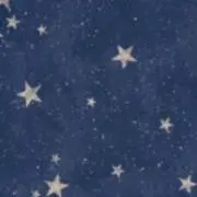 わたなべの画像