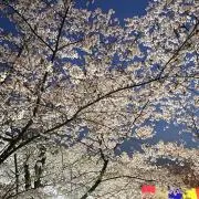 こんにちは