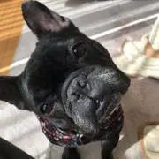 ルーチン