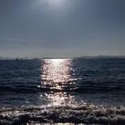 殿の画像