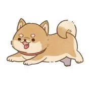あんず※即購入/まとめ買い◎の画像