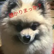 2枚のドガの絵の画像