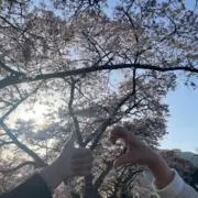 かなやの画像