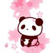 さくらの画像