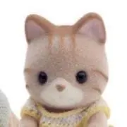 aの画像