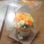 おやこにゃんこの画像