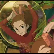 Rの画像