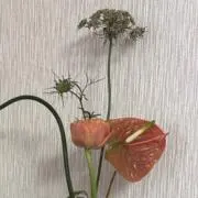 Mori.の画像