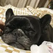 でこ