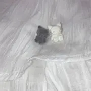 ねこ