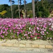 ララ