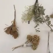 うにの画像