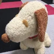 まつげ