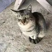 one