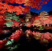 矢の画像