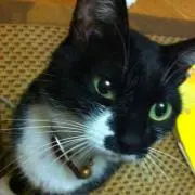 maru*