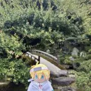 catsoo12の画像